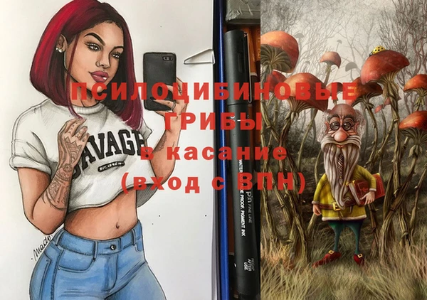 шишки Абдулино