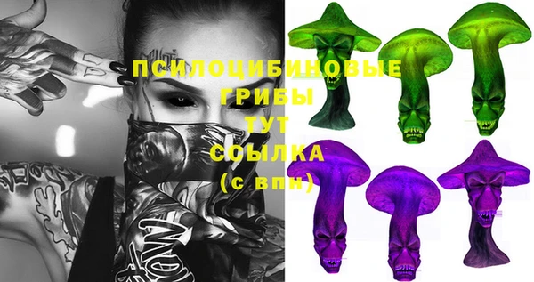 шишки Абдулино