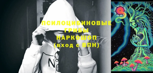 шишки Абдулино
